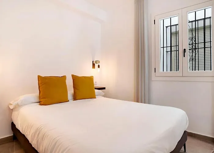Apartamentos Vexer